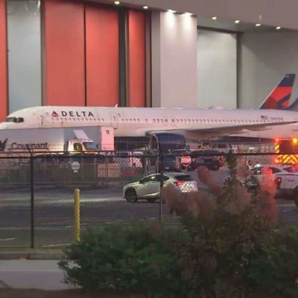 **"Cuatro auxiliares de vuelo admiten contrabando millonario de drogas entre Nueva York y RD"**