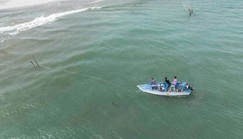 Redes de pesca en la República Dominicana: Amenaza crítica para la supervivencia de los manatíes