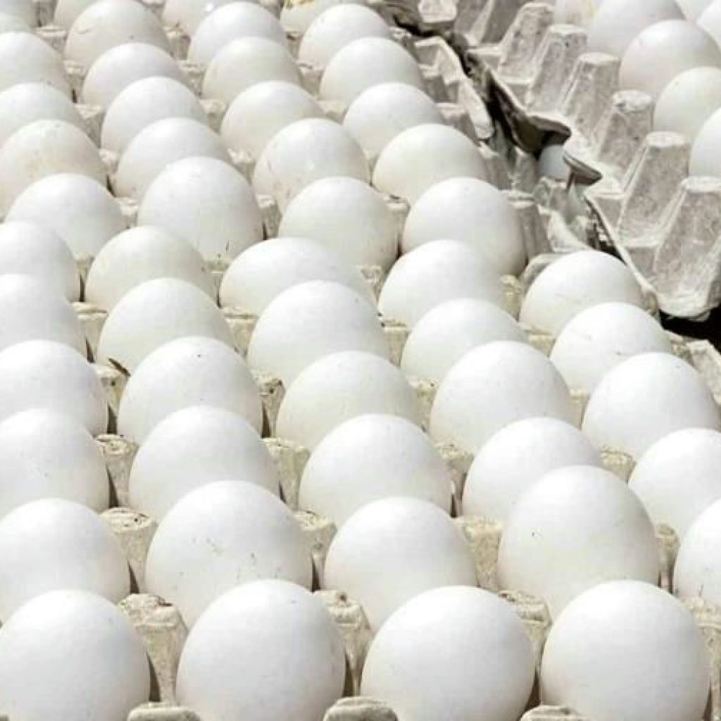 Récord agropecuario: Exportaciones se disparan un 32.7% en 2024