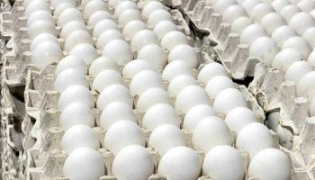 Récord agropecuario: Exportaciones se disparan un 32.7% en 2024