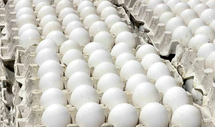 Récord agropecuario: Exportaciones se disparan un 32.7% en 2024